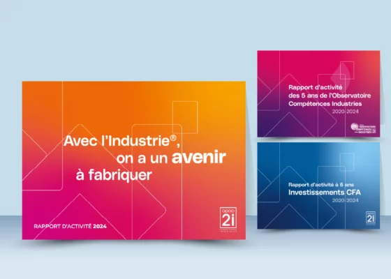 Couvertures des 3 rapports d'activité